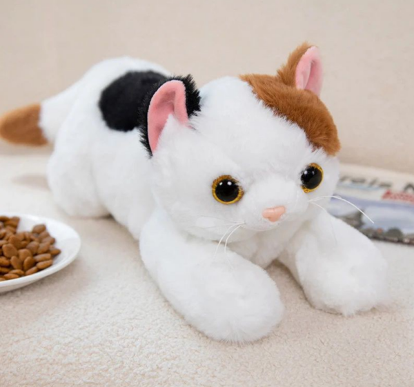 Loder me bateri dhe muzik ne formë mace