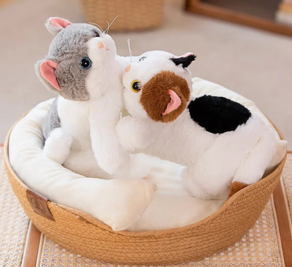 Loder me bateri dhe muzik ne formë mace