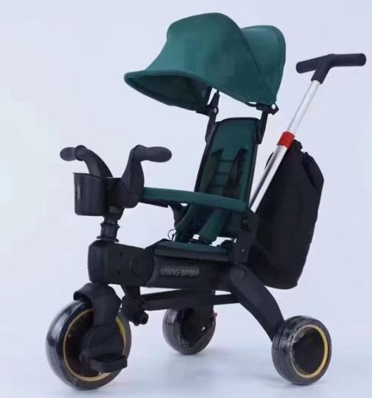 TRIÇIKLETË PALUESE - Figura 2